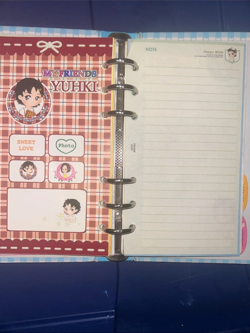 Blue Plaid Cute Girl Journal
